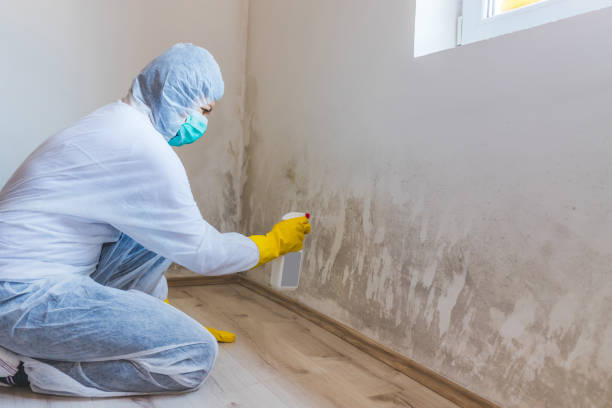 Licensed Bathroom Mold Removal service in Angier, NC - WQB Mold Removal
