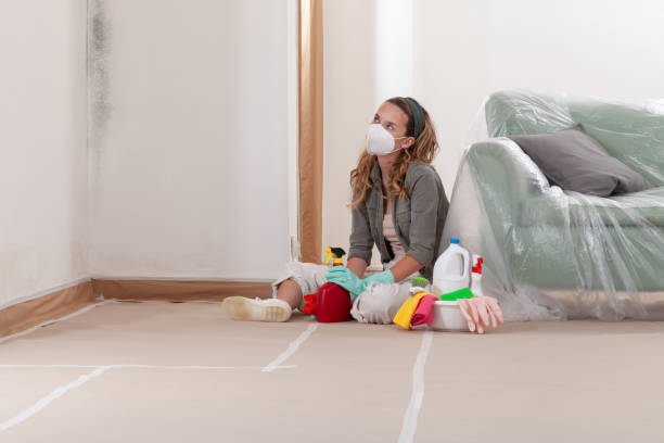 Reliable Bathroom Mold Removal contractor in Angier, NC by WQB Mold Removal